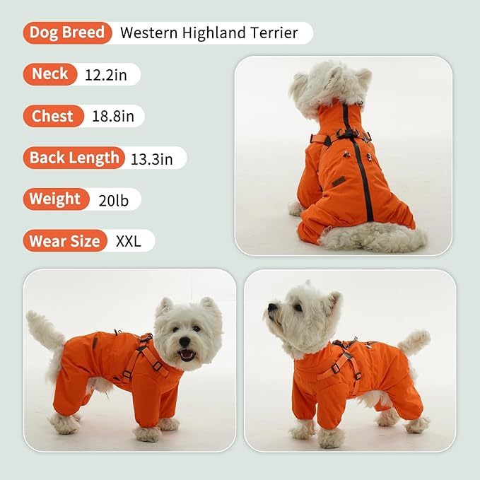 BRKURLEG Dog Raincoat for Small Dogs, Small Dog Rain Jacket with Harness Built in, Waterproof 4 Legs Pet Raincoats, Puppy Outdoor Jacket with Reflective Strip, Orange, M