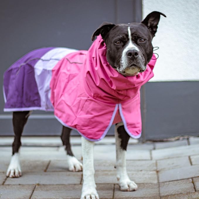 Spark Paws Dog Raincoat, Waterproof Windproof Rain Jacket, for Small Medium Large Extra Large Dogs, Reflective Breathable Full-Body Coverage Dry Suit - Pink Lilac Purple - 2XL