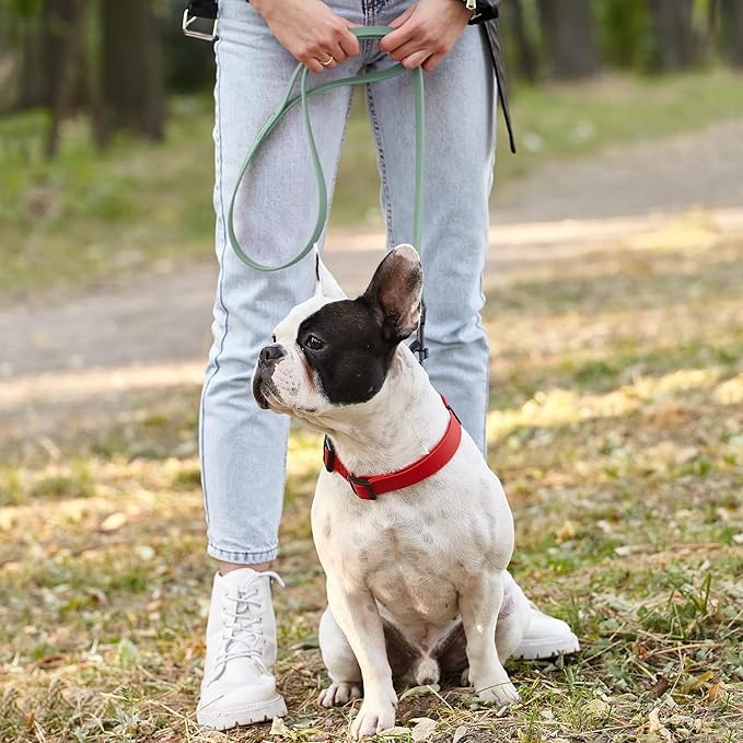 Dogline Biothane Waterproof Dog Leash Strong Coated Nylon Webbing with Black Hardware Odor-Proof Easy to Clean High Performance for Small or Large Dogs Made in USA 2 ft Lead, Sage Green