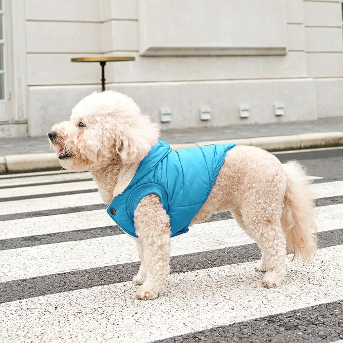 Fleece Lining Extra Warm Dog Hoodie in Winter for Small Dogs Jacket Puppy Coats with Hooded,Light Blue M