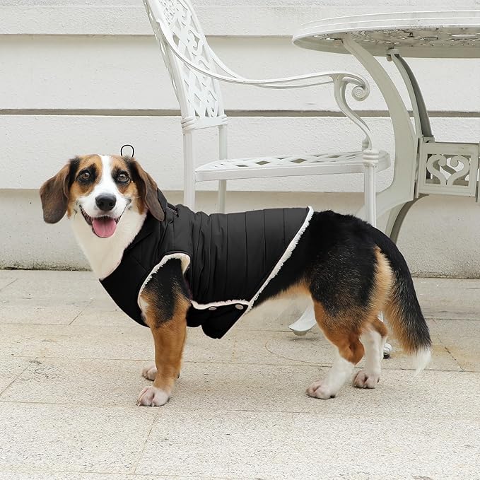 Fleece Lining Dog Hoodie with Harness Built in,Extra Warm Medium Dog Jacket in Winter Doggie Coats with Drawstring Hooded,Black XL