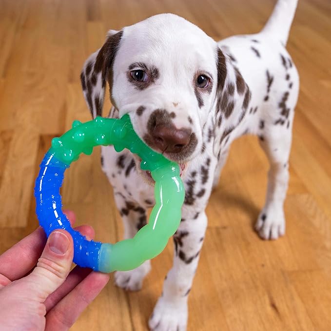 Outward Hound Grow-with-Me-Ring Dog Chew Toy, Multicolored