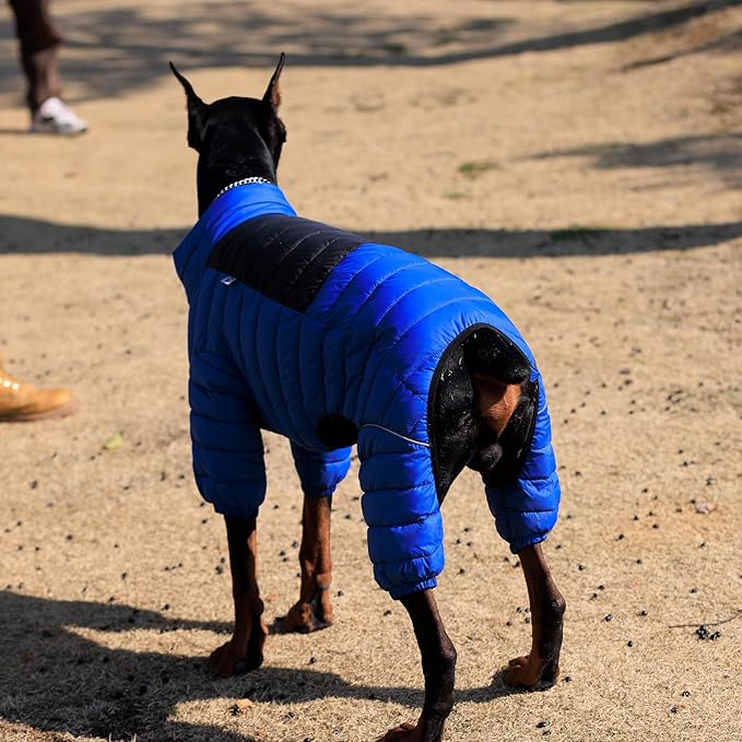 Lovelonglong Dog Coat Dog Warm Jacket, 4 Legs Covered Waterproof Windproof Reflective Warm Dog Vest, Zippered Adjustable Outdoor Dog Snow Jacket for Small Medium Large Dogs Blue M