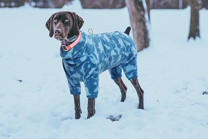 ROZKITCH Dog Shark Outfit, Pet Windproof Warm Cold Weather Jacket Vest with Luminous Zipper, Jumpsuit Apparel Outfit Clothes for Small Medium Large Dog Shark L