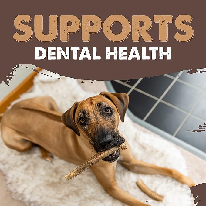 Mighty Paw Split Elk Antlers for Dogs (Sourced in The USA) | 2 Whole Medium 6"+ Long Lasting Bones for Aggressive Chewers - Naturally Shed Split Deer Antler for Dogs - Low Odor Chews (Pack of 2)