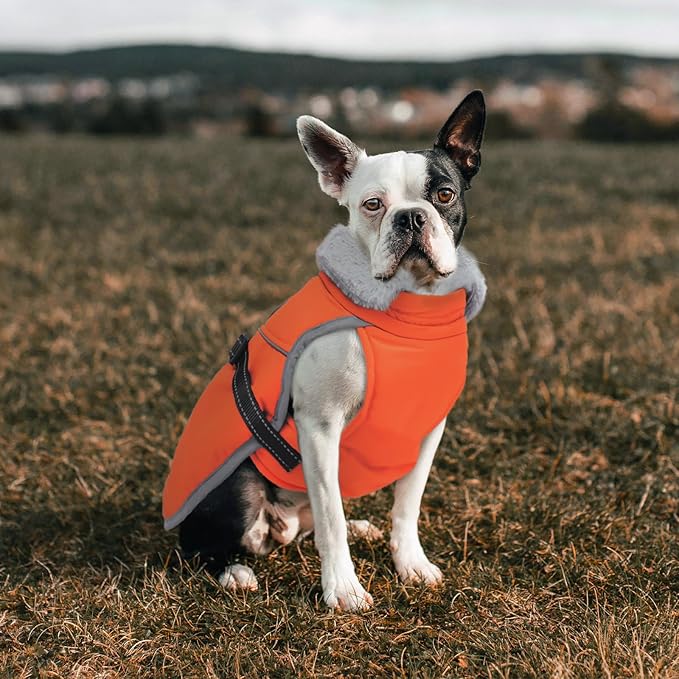 Lelepet Warm Dog Winter Coat Reflective Dog Jacket Fleece Vest Waterproof Windproof Cold Weather Coats with Adjustable Buckle Plush Turtleneck Pet Snowsuit for Small Medium Large Dogs,Bichon,M