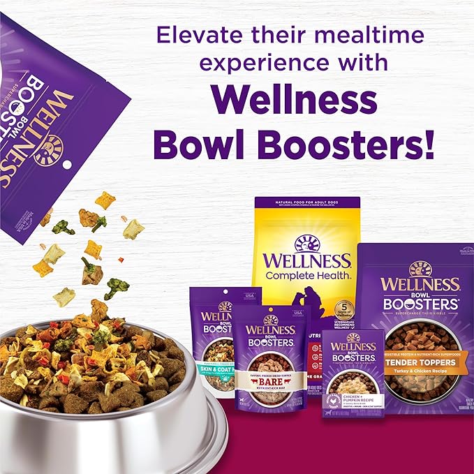 Wellness Complete Health Small Breed Dry Dog Food With Grains, Made In USA with Real Turkey and Natural Ingredients, For Dogs Up To 25 lbs, Healthy Weight, 12 Pound Bag