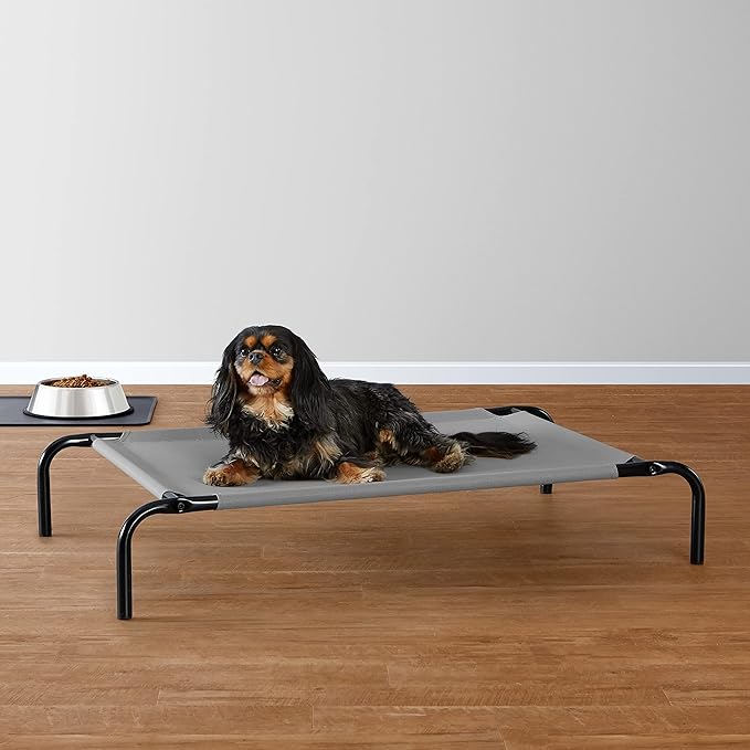Amazon Basics Cooling Breathable Elevated Dog Bed with Metal Frame for Small Dogs, 36 x 22 x 7.5 Inch, Grey