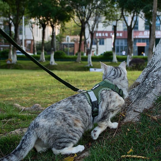 Cat Harness and Leash Escape Proof Extra Large Kitten Harness Maine Coon Cat Vest for Walking Travel, Dark Green, XL