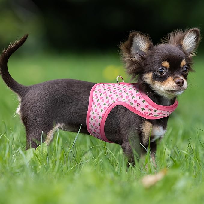 Mile High Life Dog Harness, Air Mesh Floral Vest Harness for 20 lbs Small Dogs & Cats, Easy Get on Adjustable Easy Closures Both Neck and Chest(Pink Flower, S Chest 16"-18")