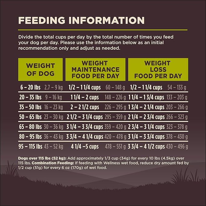Wellness CORE Dry Dog Food, Grain-Free, High Protein, Natural, Healthy Weight Turkey & Chicken Recipe, (26-Pound Bag)