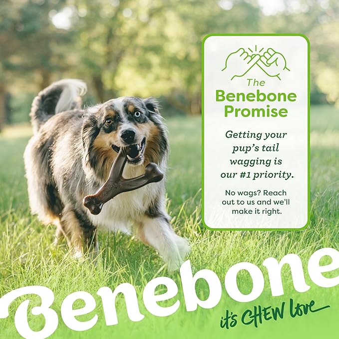 Benebone Medium 3-Pack, Wishbone Durable Dog Chew Toy for Aggressive Chewers, Real Bacon, Chicken, Peanut Butter, Made in USA, Variety Pack