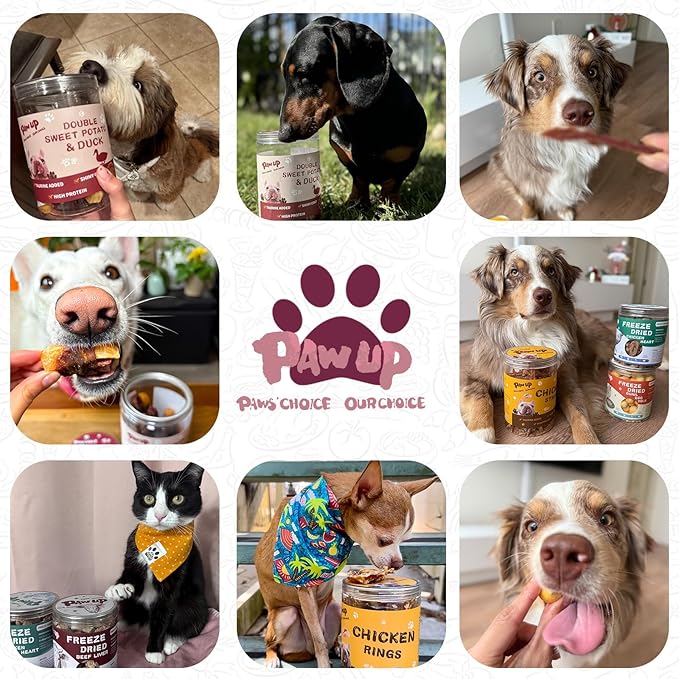 PAWUP Duck & Sweet Potato Dog Treats, High Fiber Pet Treats for Medium Dogs, Healthy Chews Snacks, High in Protein, 12.5 oz