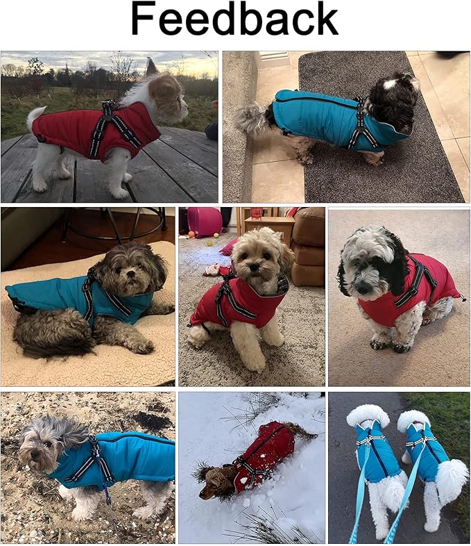 Geyecete Winter Warm Coat Waterproof Dog Winter Jacket with Harness Traction Belt,Pet Outdoor Jacket Dog Autumn and Winter Clothes for Medium, Small Dog-Green-S