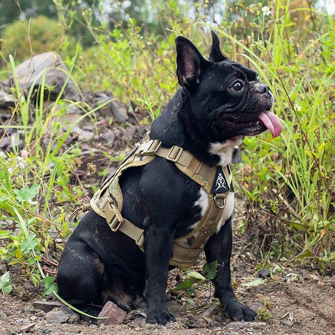 Tactical Dog Harness Vest with Handle, Military Dog Harness for Large Medium Dogs,No-Pull Service Dog Vest with Hook & Loop Panels,Adjustable Dog Vest Harness for Walking Hiking Training(Camo)