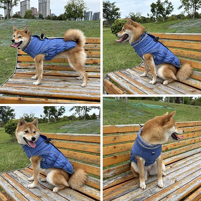 Malier Dog Coat, Reflective Dog Jacket Waterproof Windproof Puppy Cold Weather Coats with Harness Built in, Winter Extra Warm Pet Coat Fleece Vest for Small Large Pets and Puppy (Blue, X-Small)