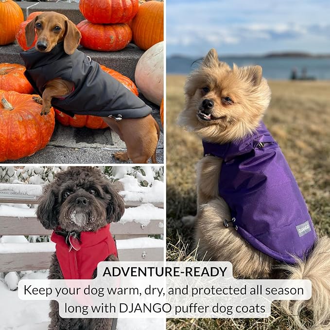 DJANGO Reversible Puffer Dog Coat – Warm Winter Dog Jacket & Water-Repellent Insulated Dog Coat with Harness Hole, Windproof, Adjustable Fit for Small & Medium Dogs, Dachshunds – Lava Red, Large