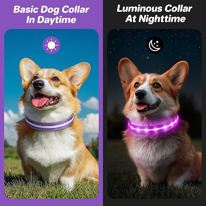 PcEoTllar Light Up Dog Collars, Led Dog Collar, Rechargeable, Night Walking, Waterproof, Glow in The Dark Dog Collars Light for Large Small Medium Dogs, Purple s