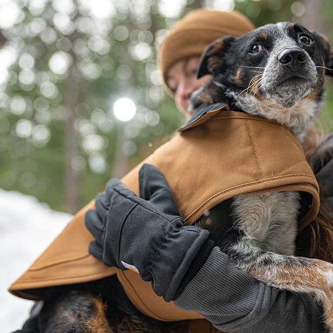 Carhartt Firm Duck Dog Chore Coat, Insulated Weather Resistant Jacket for Cold and Windy Conditions, Deep Wine, Large