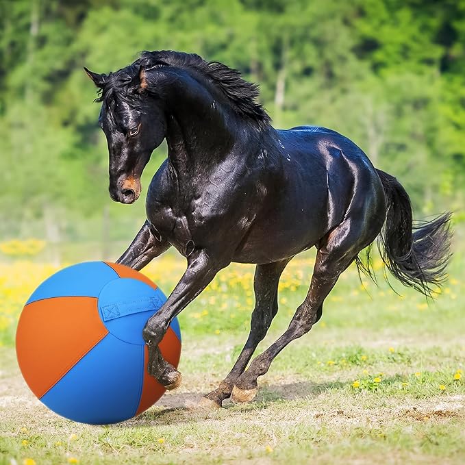 Herding Ball for Dogs - 25" Large Herding Ball with Anti-Burst Cover and Pump, Outdoor Dog Exercise Toy for Australian Shepherd, German Shepherd, Collie (Blue & Orange)
