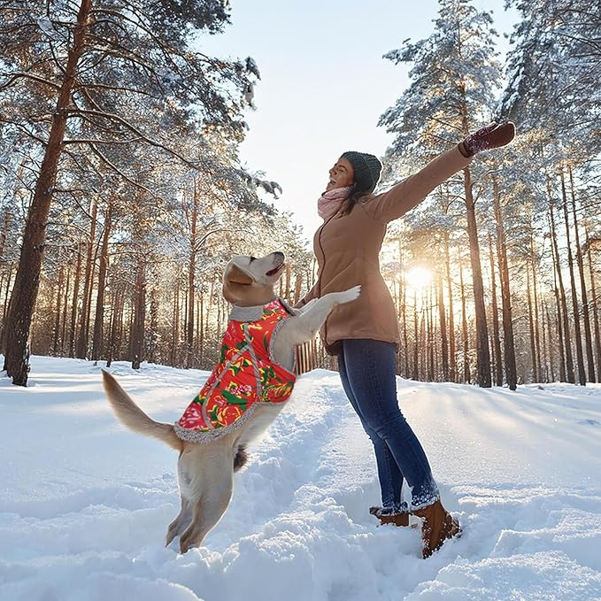 VIVAGLORY Frostfit Dog Coat, Dog Jacket for Winter & Cold Weather, Warm Fluffy Fleece Lined Water Resistant Reflective for Puppy, Coat with Velcro Fastening & Leash Hole, XL, Northeast Florals-Red