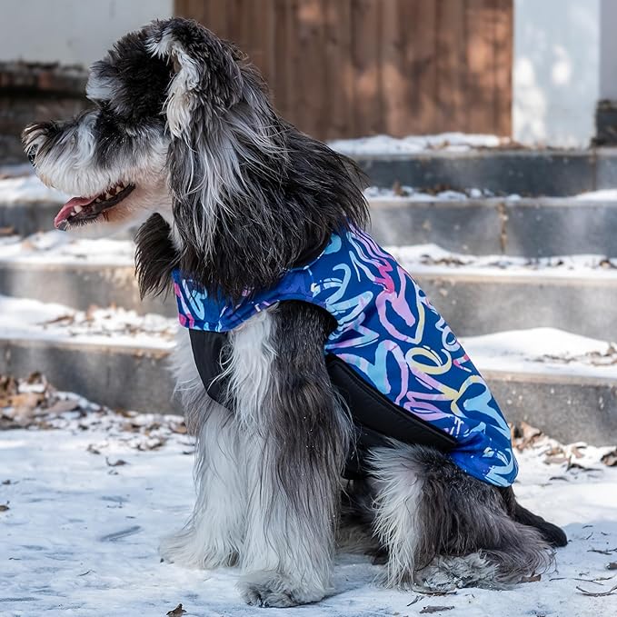 CuteBone Winter Dog Coat - Waterproof & Windproof Jacket for Small to Large Dogs - Reversible Soft Vest with Adjustable Thick Lining & Leash Hole