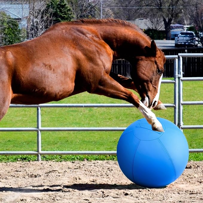 Herding Ball for Dogs - 18" Medium Herding Ball with Anti-Burst Cover and Pump, Outdoor Dog Exercise Toy for Australian Shepherd, German Shepherd, Collie (Blue)