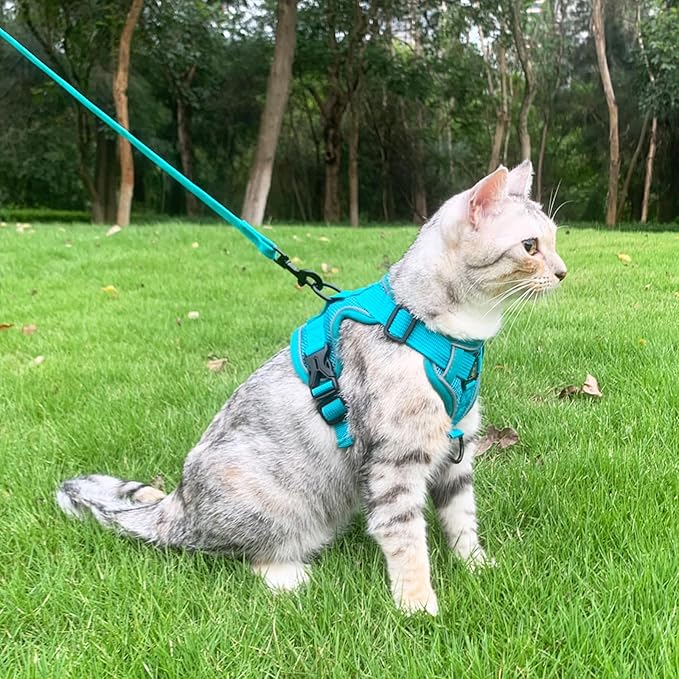 Cat Harness and Leash Set Escape Proof Tactical Extra Large Kitten Harness Emotional Support Cat Vest, Turquoise, XXL