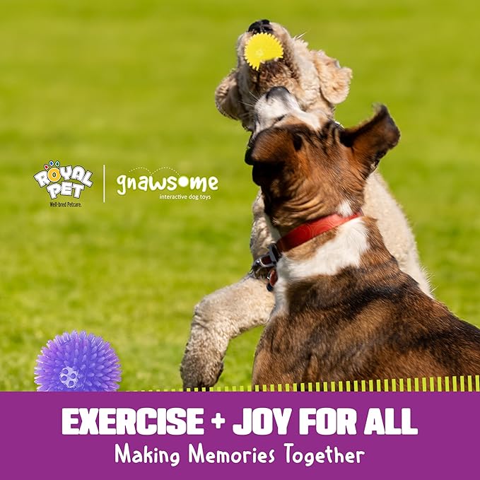 Gnawsome™ 3.5” Spiky Squeak & Light Ball Dog Toy - Medium, Cleans Teeth and Promotes Good Dental and Gum Health for Your Pet, Colors will vary, 3.5"