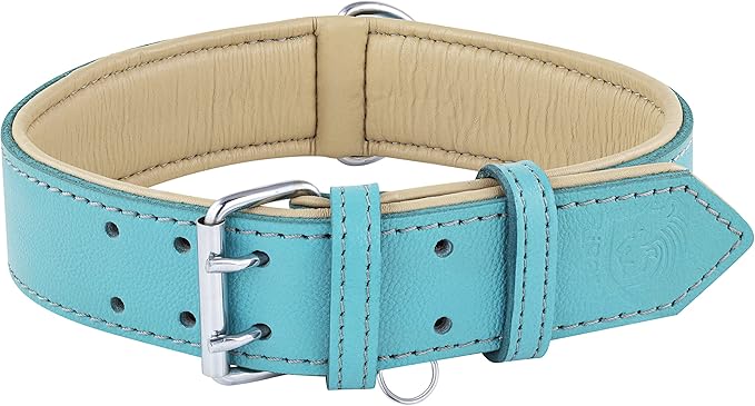 Riparo Adjustable Leather Dog Collar - Heavy Duty Wide Dog Collar for Small, Medium, Large and Extra Large Dogs with Dog Tag Holder, Blue Dog Collars (XL: 1.75" Wide for 21”-25” Neck, Aqua)