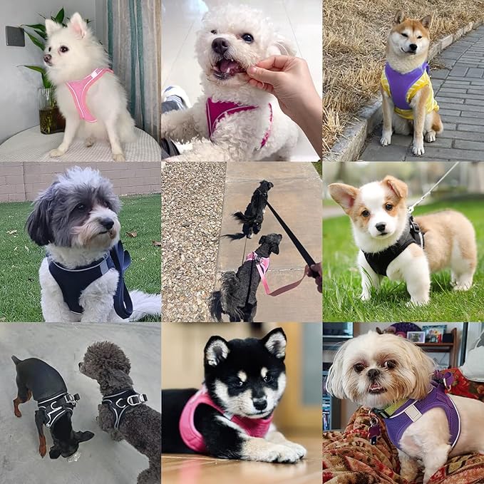 Dog Harness with Leash Set, No-Pull Step-in Reflective Pet Harness with 1 Leash Clips, Adjustable Soft Padded Easy Walk Dog Vest for Small Medium Large Dogs, Cats(Bright Red, Small)