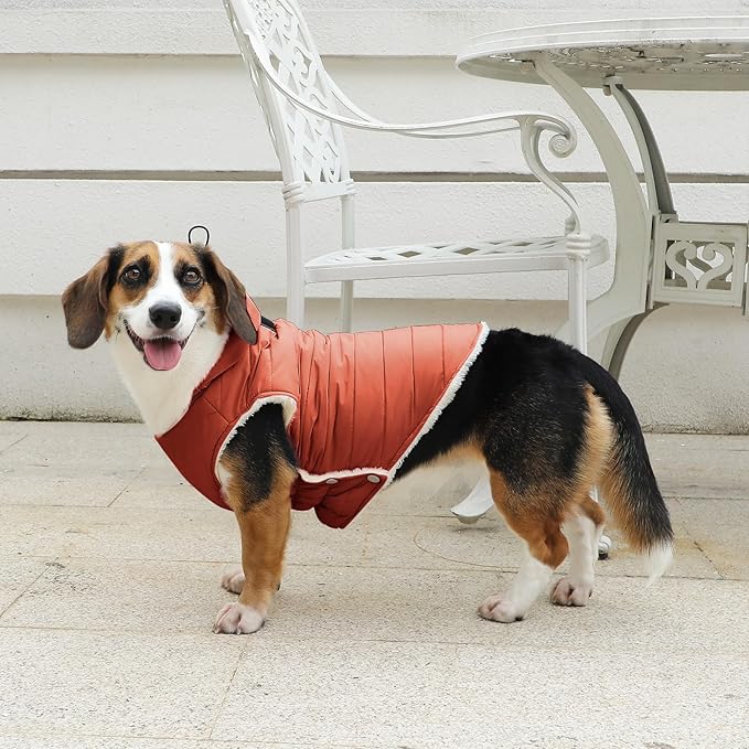 Fleece Lining Dog Hoodie with Harness Built in,Extra Warm Large Dog Jacket in Winter Doggie Coats with Drawstring Hooded,Orange XXXL