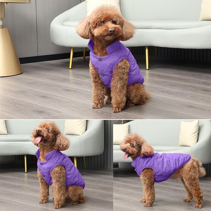 2 Layers Fleece Lined Warm Dog Jacket for Winter Cold Weather,Soft Windproof Medium Dog Coat,Purple XL