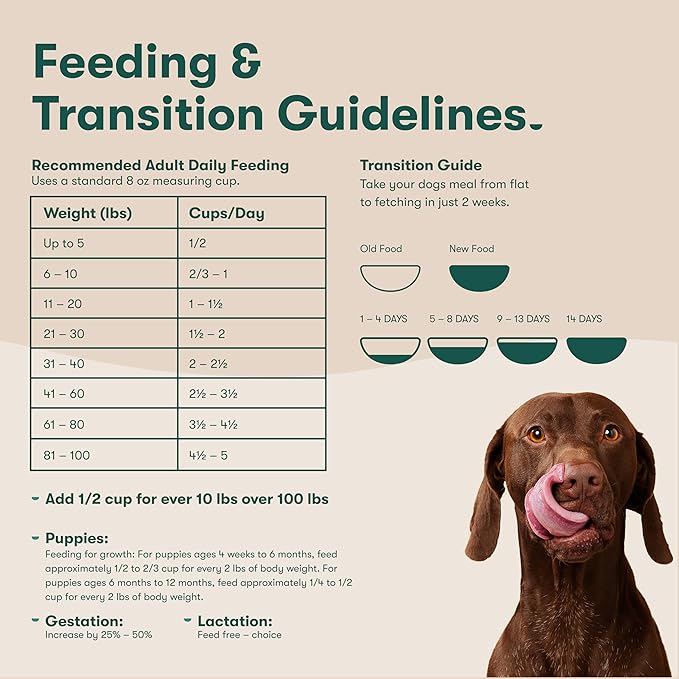 Jinx Premium Dry Dog Food, for All Lifestages - Real Chicken, Brown Rice & Sweet Potato Kibble with Superfoods for Immune Support & Probiotics for Digestive Support - No Fillers - 4lb