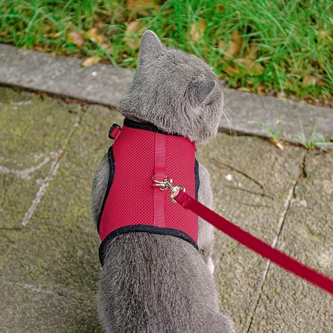 PUPTECK Soft Mesh Cat Vest Harness and Leash Set Puppy Padded Pet Harnesses Escape Proof for Cats Small Dogs, Red Small