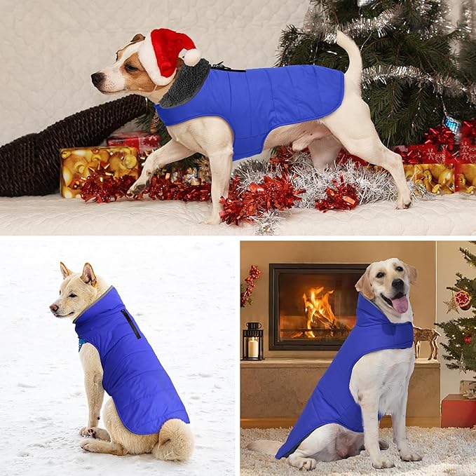 Dog Winter Coat, Waterproof Dog Jacket with Leash Hole, Reflective Adjustable Pet Snow Vest, Warm Fleece Sweater for Small Medium Large Dogs - Blue, XS