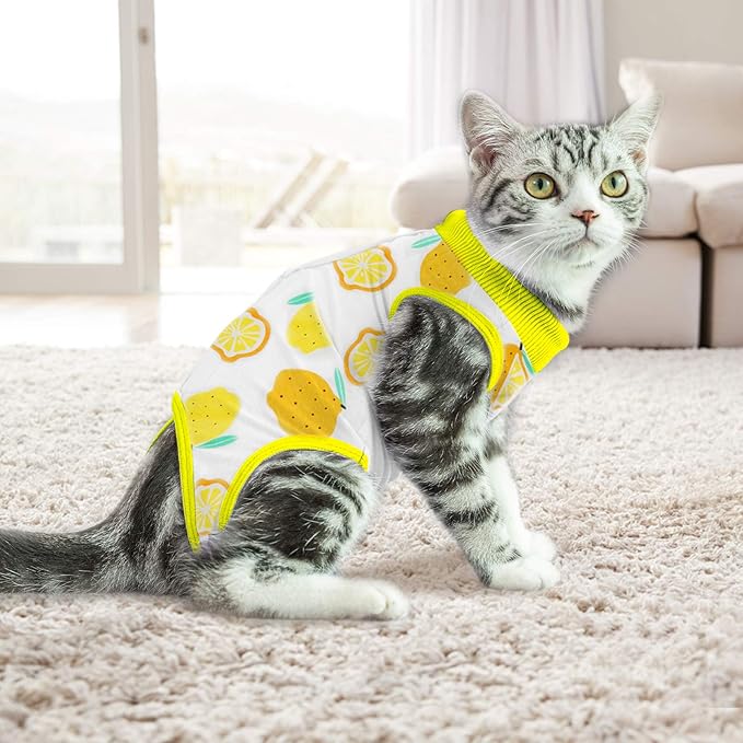 Cat Professional Surgical Recovery Suit,E-Collar Alternative for Cats Dogs,After Surgery Wear, Pajama Suit,Home Indoor Pets Clothing (S(3.3-5.5lbs), Lemon)