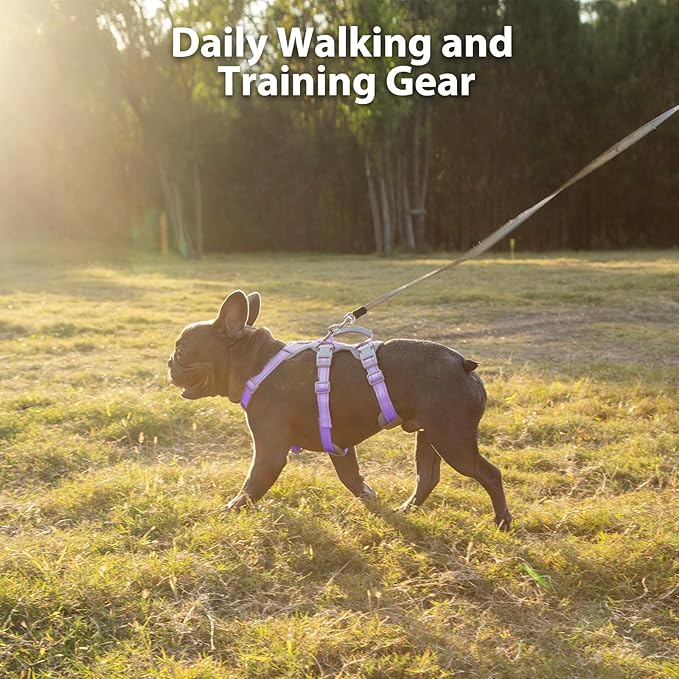 Huntboo Escape Proof Dog Harness,No Pull Reflective Harness with Lift Handle,Adjustable Pet Vest with Front and Back Leash Clips for Small Medium Large Dogs Walking Hiking Training(Lavender Purple,XL)