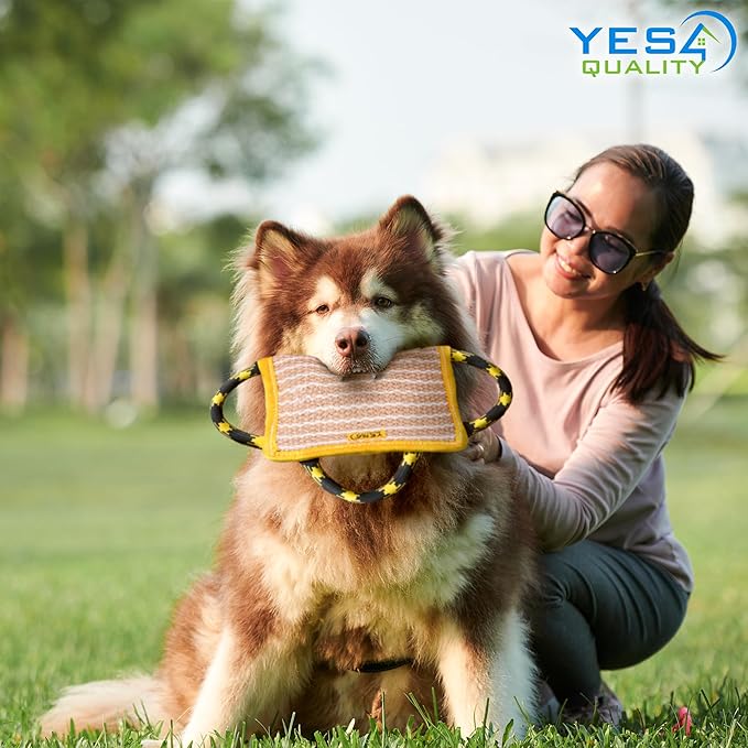 YES4QUALITY Durable Dog Bite Pillow - 10"x7" - Safe Biting Pad with 3 Strong Handles - Tough Jute Tug Toy for Medium to Large Dogs - Ideal for Tug of War, K9, Schutzhund & Puppy Training