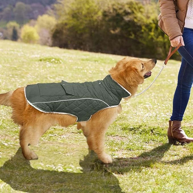 Malier Dog Winter Coat, Windproof Dog Cold Weather Coats with Real Pocket, Winter Extra Warm Pet Coat Fleece Jacket Reflective Clothes for Small Medium Large Dogs and Puppy (Green, Large)