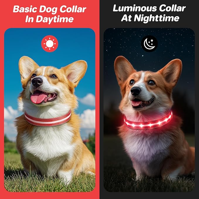 PcEoTllar Light Up Dog Collars, Led Dog Collar, Rechargeable, Night Walking, Waterproof, Glow in The Dark Dog Collars Light for Large Small Medium Dogs, Red l