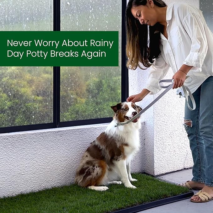 Fresh Patch Real Grass Patch for Dogs, Cats, and Extra Large Pets 30 Pounds and Above – Disposable Pet Grass Pee Pads with Tray – Indoor and Outdoor Potty Training Mat (24 Inches x 48 Inches)