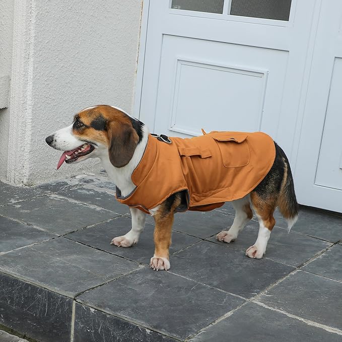 Workwear Style Dog Coats with Harness Built in for Small Dogs Windproof Warm Puppy Jacket with Storage Pockets for Cold Winter,BrightBeige XL