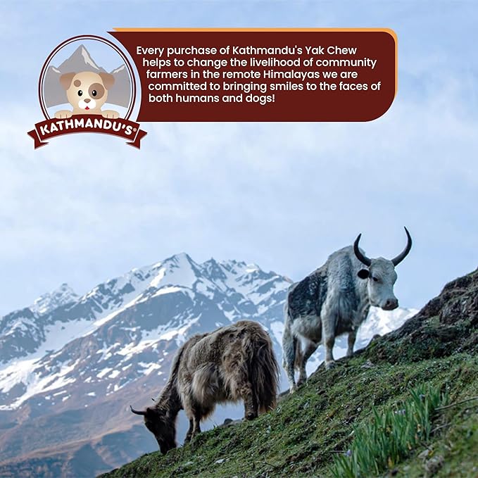 KATHMANDU'S Authentic 100% Natural Himalayan Yak Cheese Dog Chews โ Large (Pack of 4) | High Protein, Delicious & Long-Lasting Dog Treats for Aggressive Chewers | Odor & Gluten Free Chews