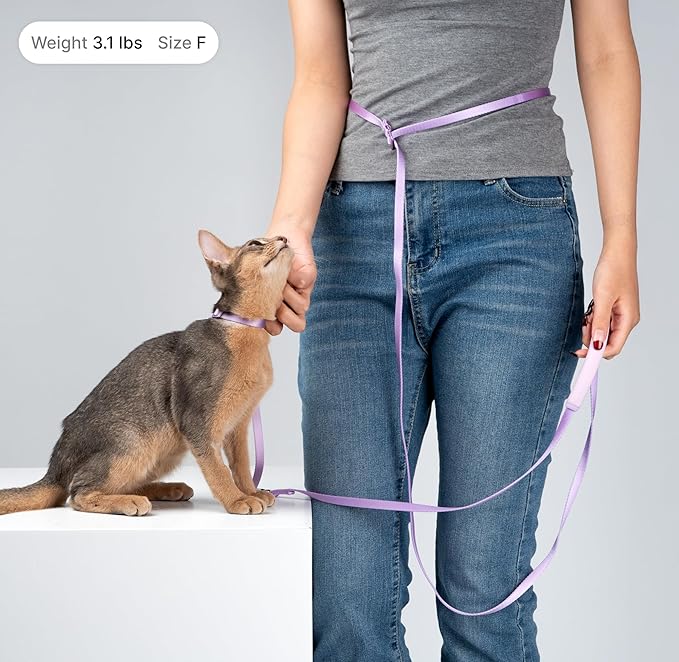 Cat Harness and Leash Set, Lightweight Escape Proof Cat Harness Leash with Padded Handle, Adjustable Cat Leash Harness for Kitten Small Large Cats Walking Training (Vivid Red, M)