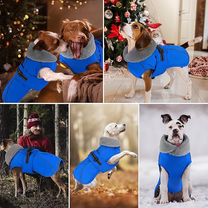Dogcheer Dog Coat with Pocket, Waterproof Dog Jacket with Adjustable Buckle, Reflective Puppy Winter Coat Warm Turtleneck Fleece SnowJacket for Small Medium Large Dogs - Blue S