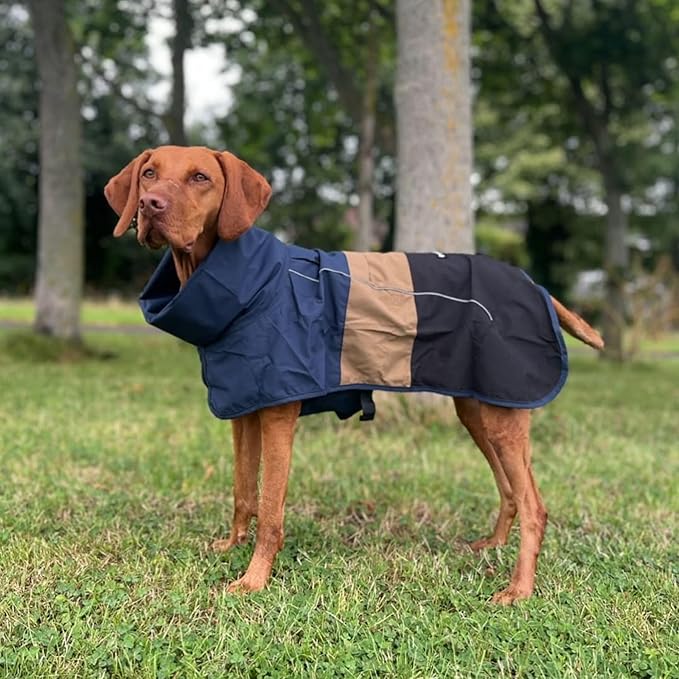 Spark Paws Dog Raincoat, Waterproof Windproof Rain Jacket, for Small Medium Large Extra Large Dogs, Reflective Breathable Full-Body Coverage Dry Suit - Blue Gold Black - L