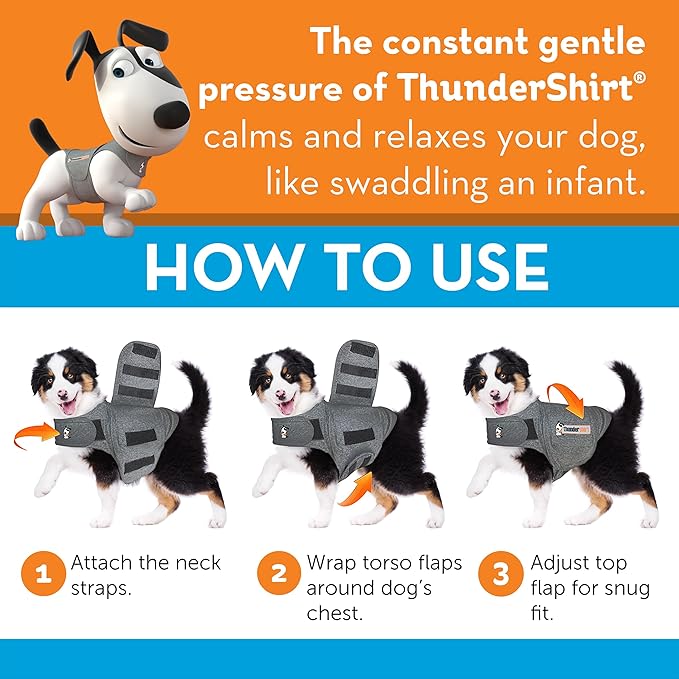 ThunderShirt for Dogs, Large, Blue Polo - Dog Anxiety Relief Calming Vest
