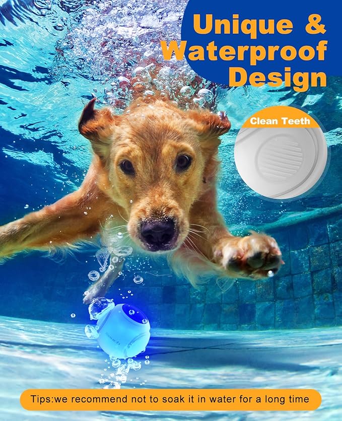 Light Up Dog Balls, LED Dog Toy Ball Rechargeable, Bounce-Activated Durable Fetch Ball Grow in The Dark, Night Glowing Dogs Toys, Natural Rubber, Color Changing LED, 2.5 inches-Blue