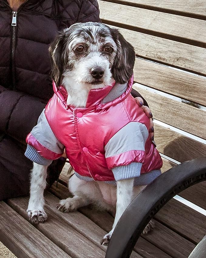 Pet Life Sporty Vintage Aspen Ski Winter Dog Coat with snap-Off Removable Hood - Dog Jacket Features 3M Thinsulate Insulation Warming Technology - Dog Clothes fits Small, Medium and Large Dogs